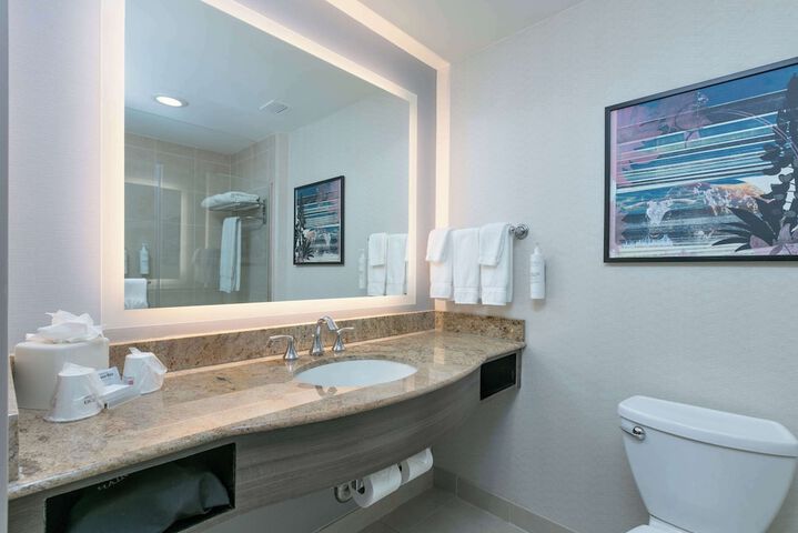 Hilton Garden Inn Dallas / Arlington