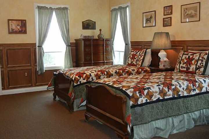 The Feathered Star B & B