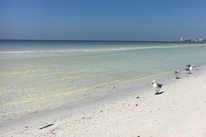 Moonmist Villa on Siesta Key