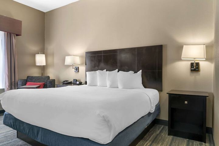 Comfort Inn & Suites Toledo North
