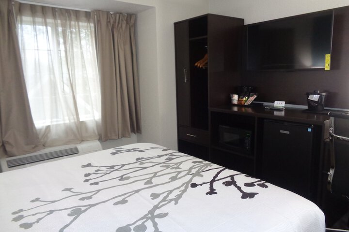 Room 43 of 66