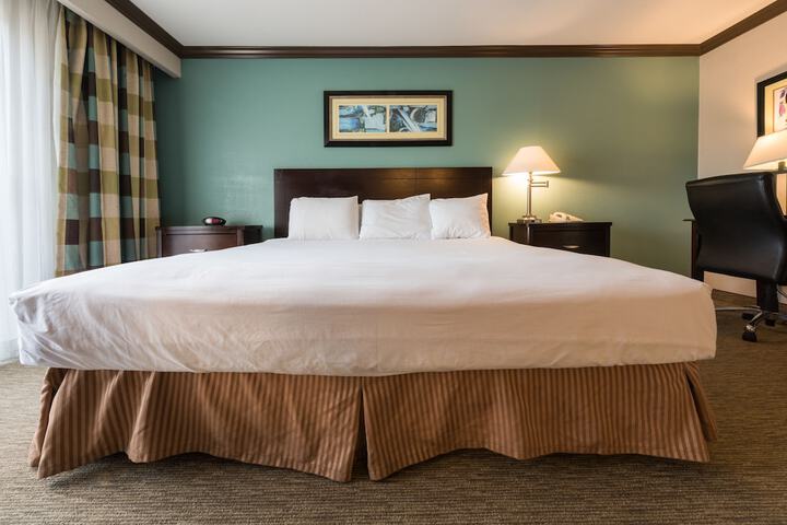 Room 31 of 54