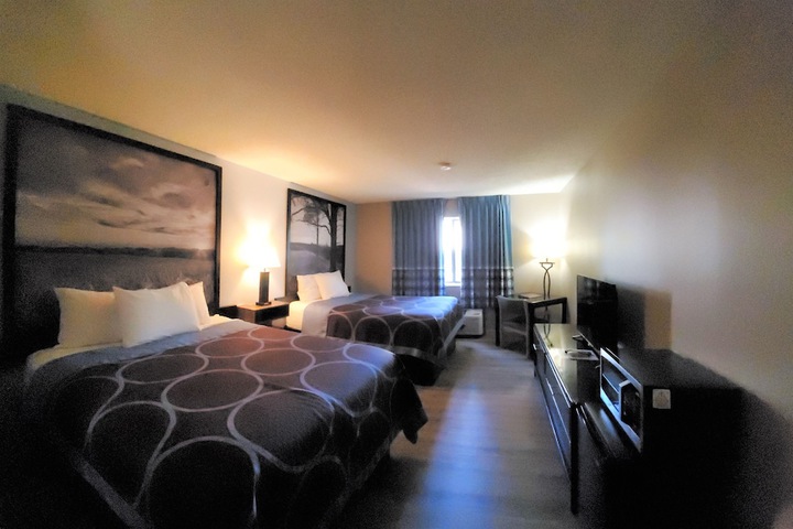 Room 4 of 29