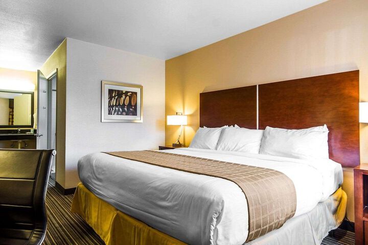 Rodeway Inn