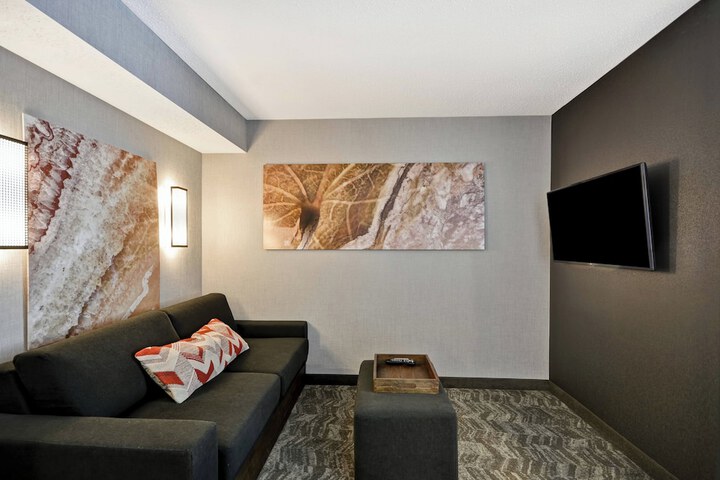 SpringHill Suites by Marriott Indianapolis Airport / Plainfield