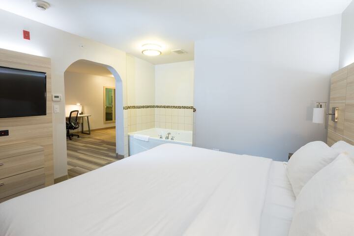 Holiday Inn Express Hotel & Suites Detroit - Utica by IHG