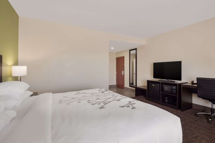 Sleep Inn & Suites North Mobile Saraland