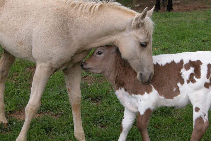 Seventy-four Ranch