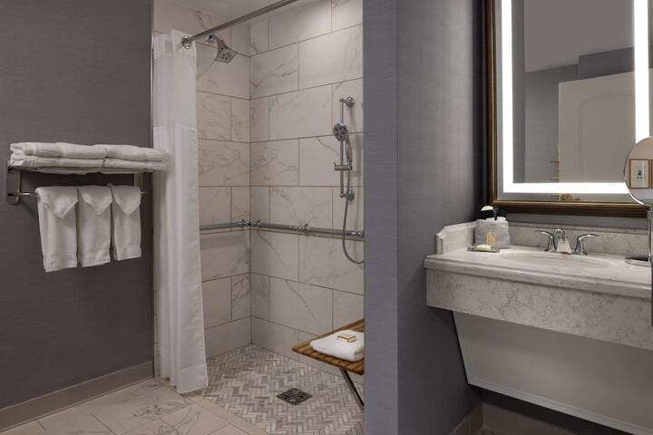 Hotel Roanoke & Conference Center Curio Collection by Hilton