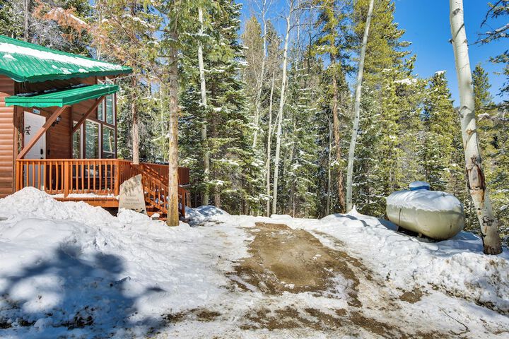 Idaho Springs Cabin w / Hot Tub on Half Acre!