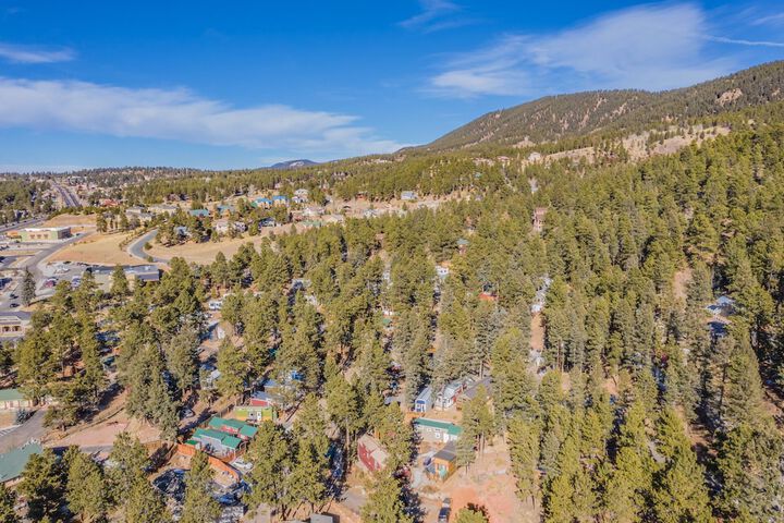 Tiny House!in the Mountains Near Pikes Peak W / ac