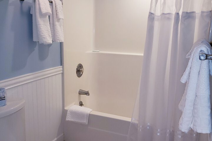 The Avenue Inn and Spa