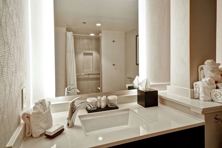 Embassy Suites by Hilton Raleigh Durham Research Triangle