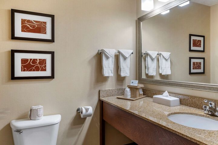 Comfort Suites Linn County