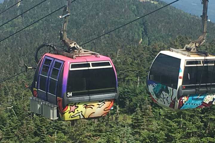 North Star Lodge and Resort