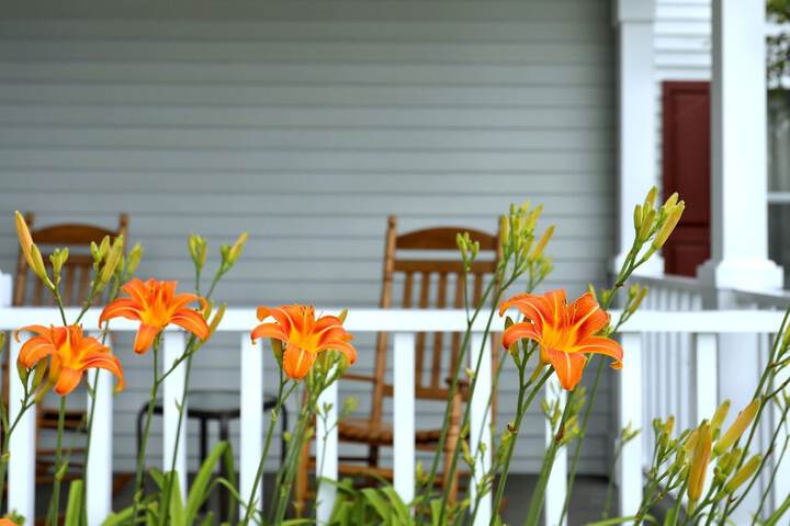 Terrace/Patio 50 of 55