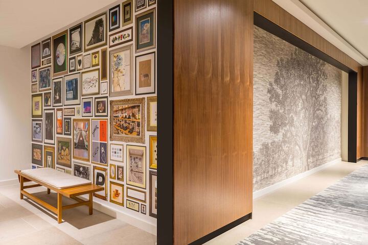 C. Baldwin Curio Collection by Hilton