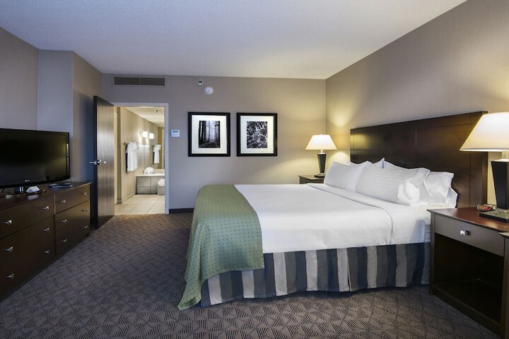 Holiday Inn Springdale / Fayetteville Area by IHG
