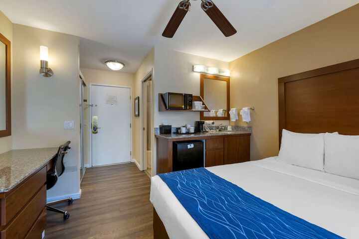 Room 26 of 49