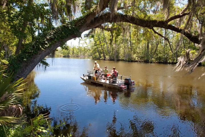 Live Oak Landing