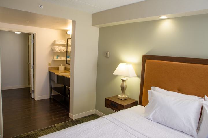 Hampton Inn & Suites Albany-Downtown