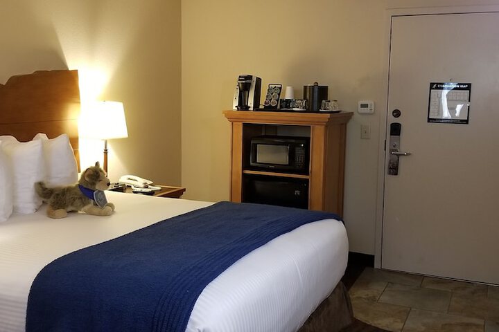 Room 46 of 67