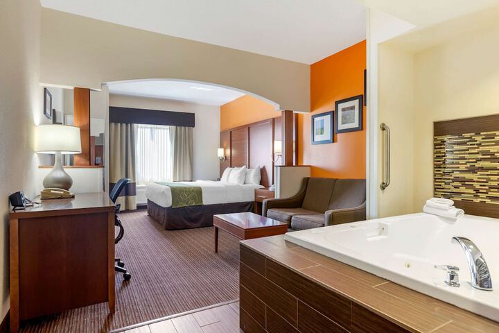 Comfort Suites Stevensville - St. Joseph