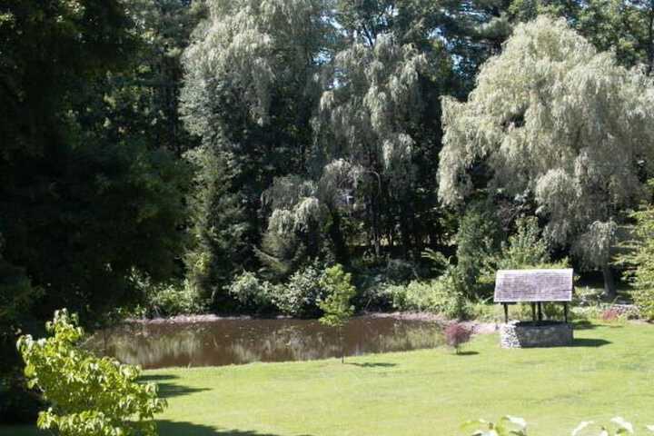 Property Grounds 15 of 22