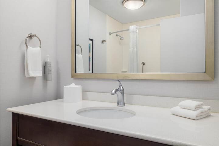 Hampton Inn & Suites Roanoke-Downtown