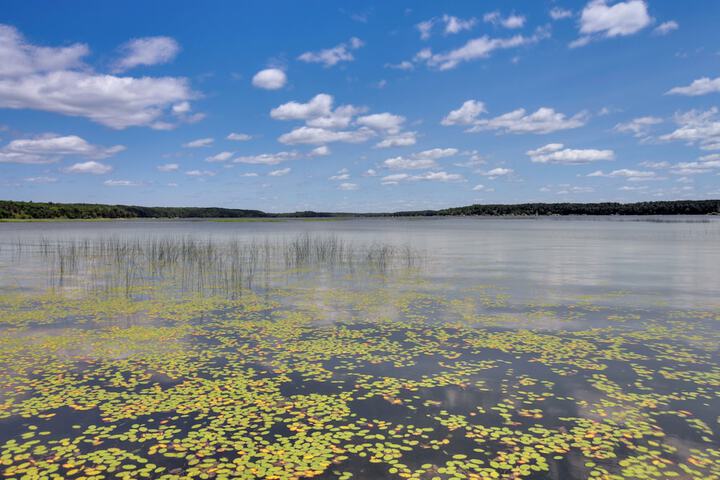 Lakefront Motley Cabin w / Private Deck + Dock!