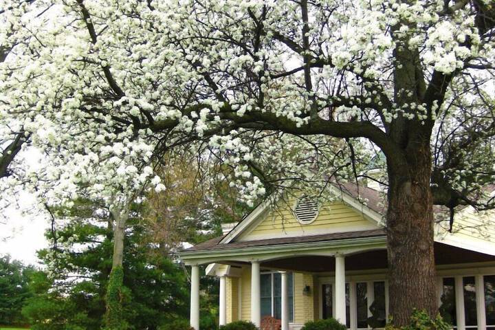 Kirkwood Inn