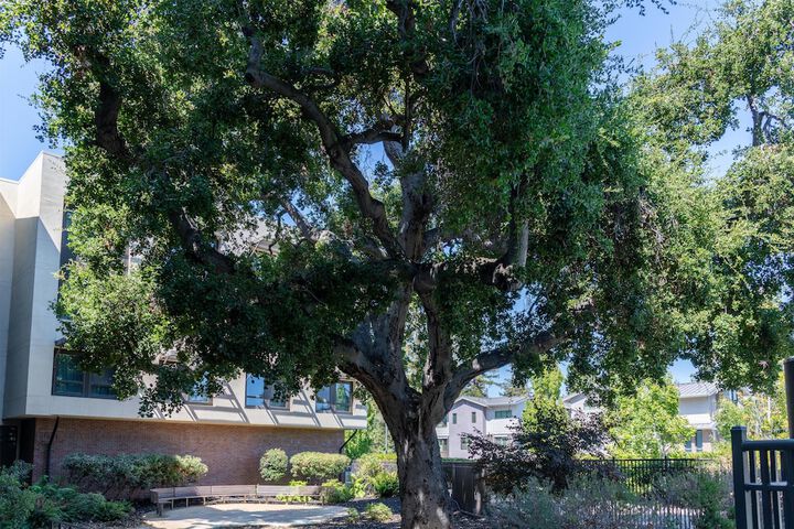Homewood Suites by Hilton Palo Alto