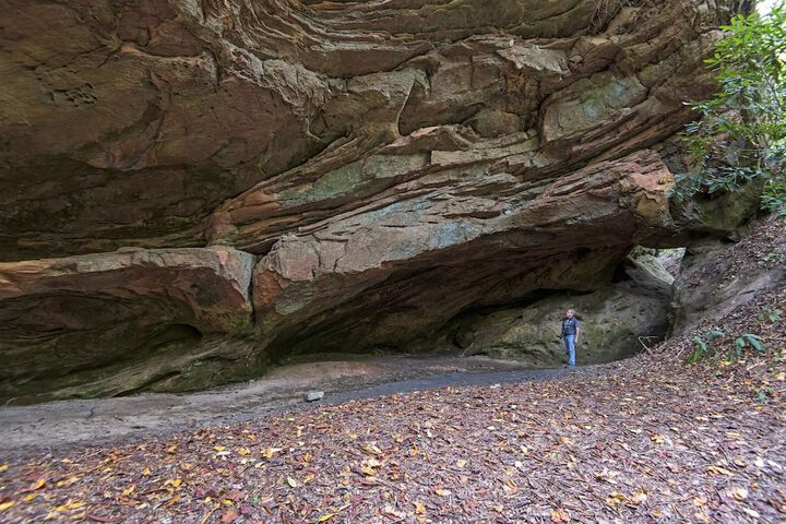 Pine Mountain State Resort Park