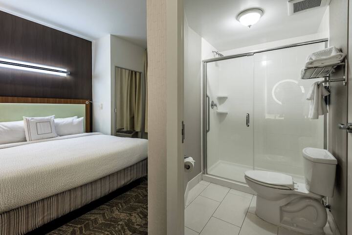 Springhill Suites Statesboro University Area