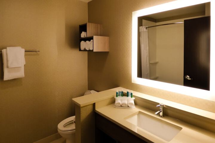 Holiday Inn Express & Suites Plymouth - Ann Arbor Area by IHG