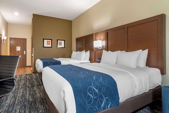 Comfort Inn & Suites Downtown near University