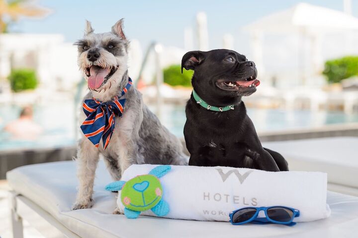 Pet Friendly 124 of 127