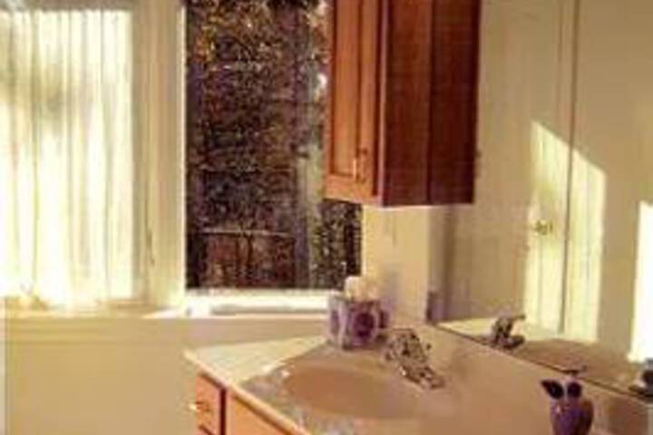 Tree Top Bed & Breakfast