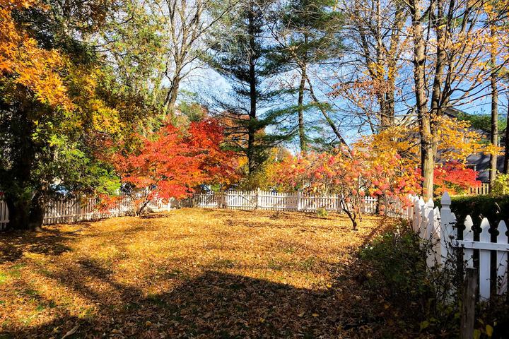Property Grounds 76 of 76