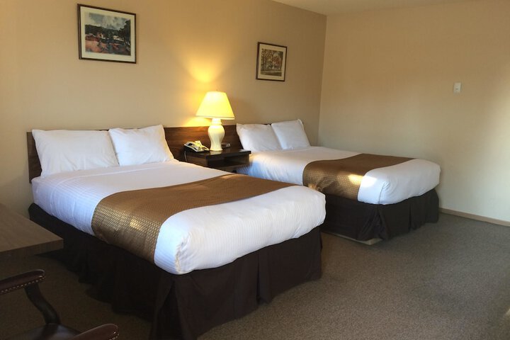 Siesta Motel