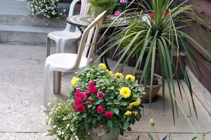 Terrace/Patio 32 of 35