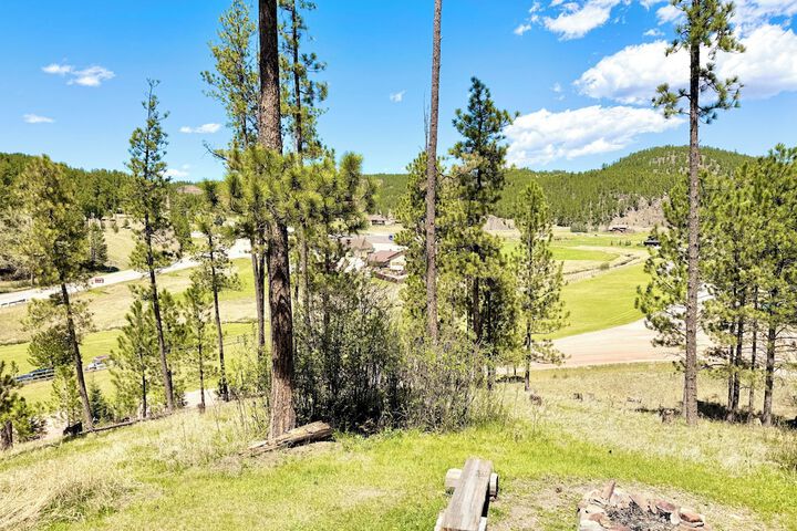 Mountain View Lodge & Cabins
