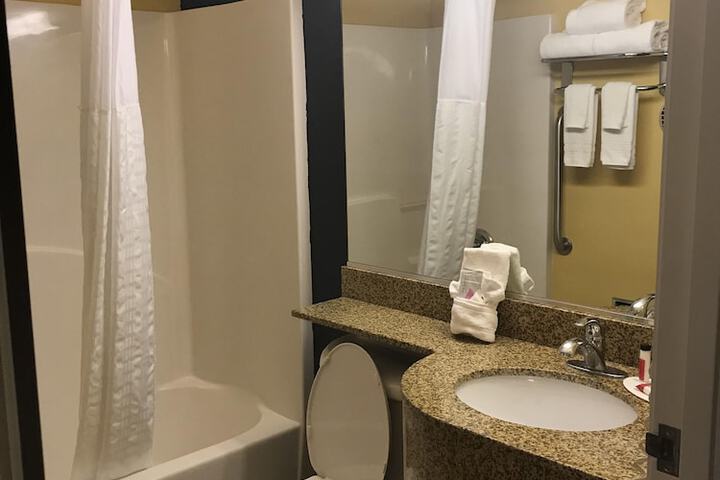 Microtel Inn & Suites by Wyndham Columbus / Near Fort Benning