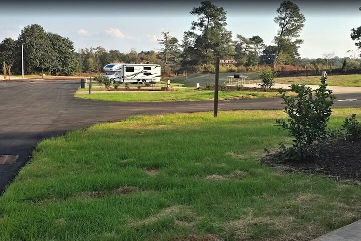 Carolina Camp Cedar