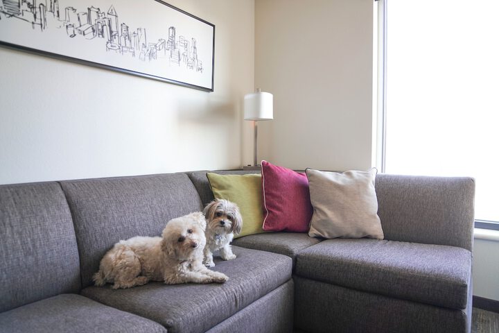 Hyatt House Schenectady / Mohawk Harbor