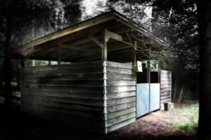 The Film Studio Creative Space