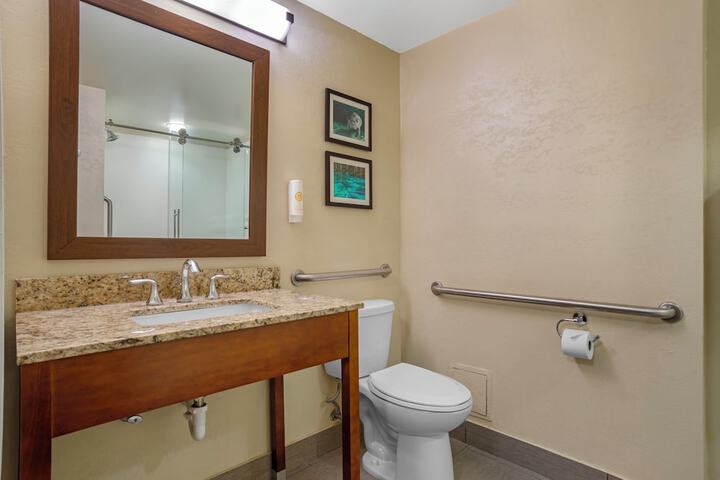 Comfort Suites Tallahassee Capitol - University Area