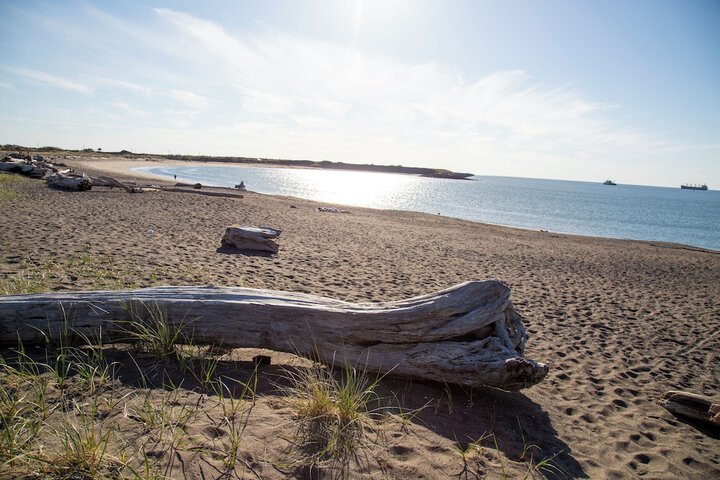 Westport RV Park & Motel