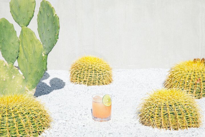 Kimpton Rowan Palm Springs Hotel by IHG