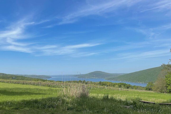 Near Canandaigua Lake: Retro Cabin w / Deck & Views